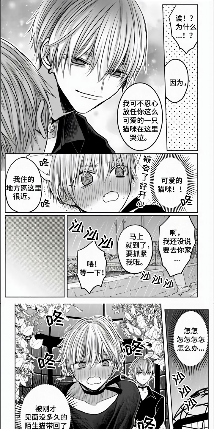 不眠之夜漫画,第3章：被拐走了1图