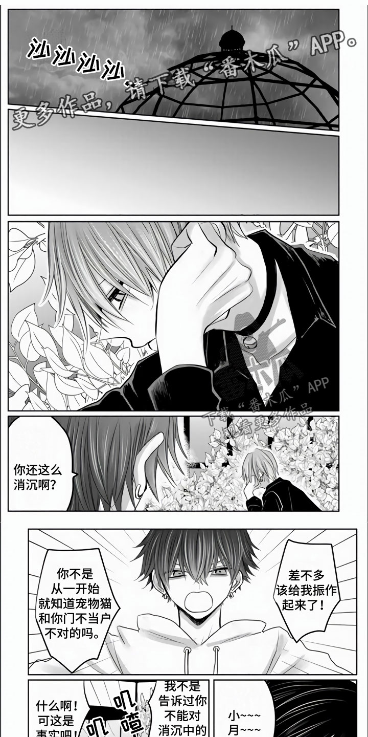 不眠之夜漫画,第25章：死不足惜1图