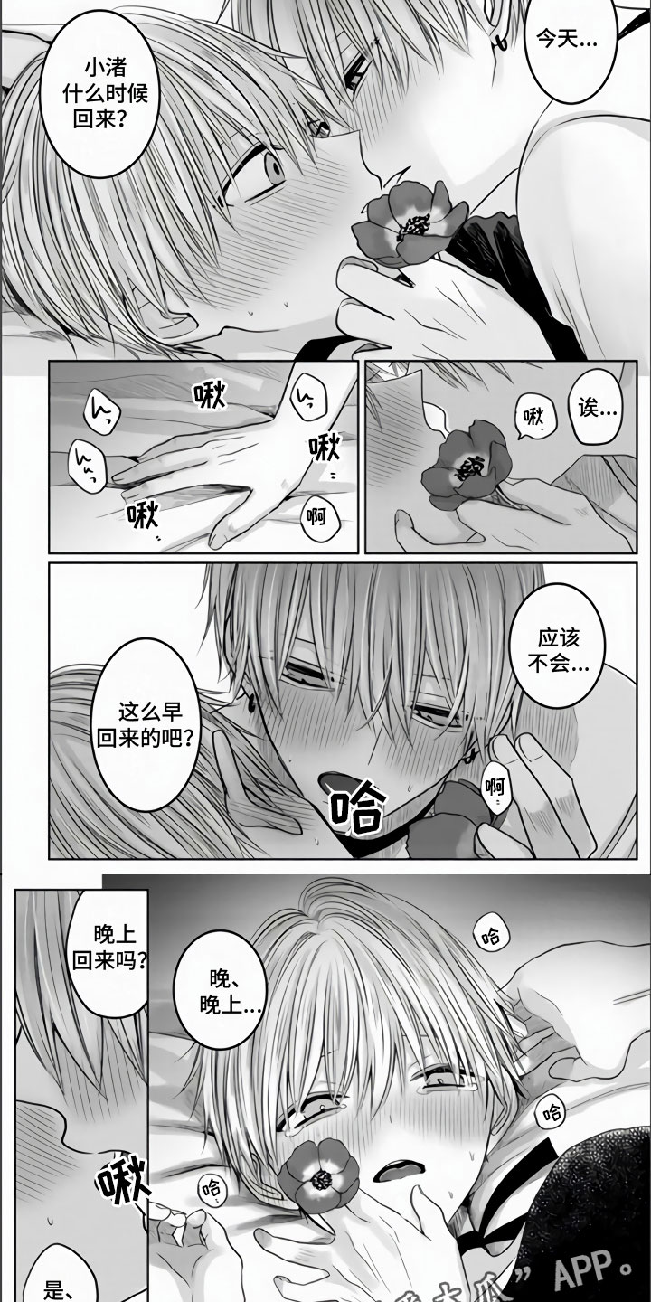 不眠之夜漫画,第12章：主人不在家1图