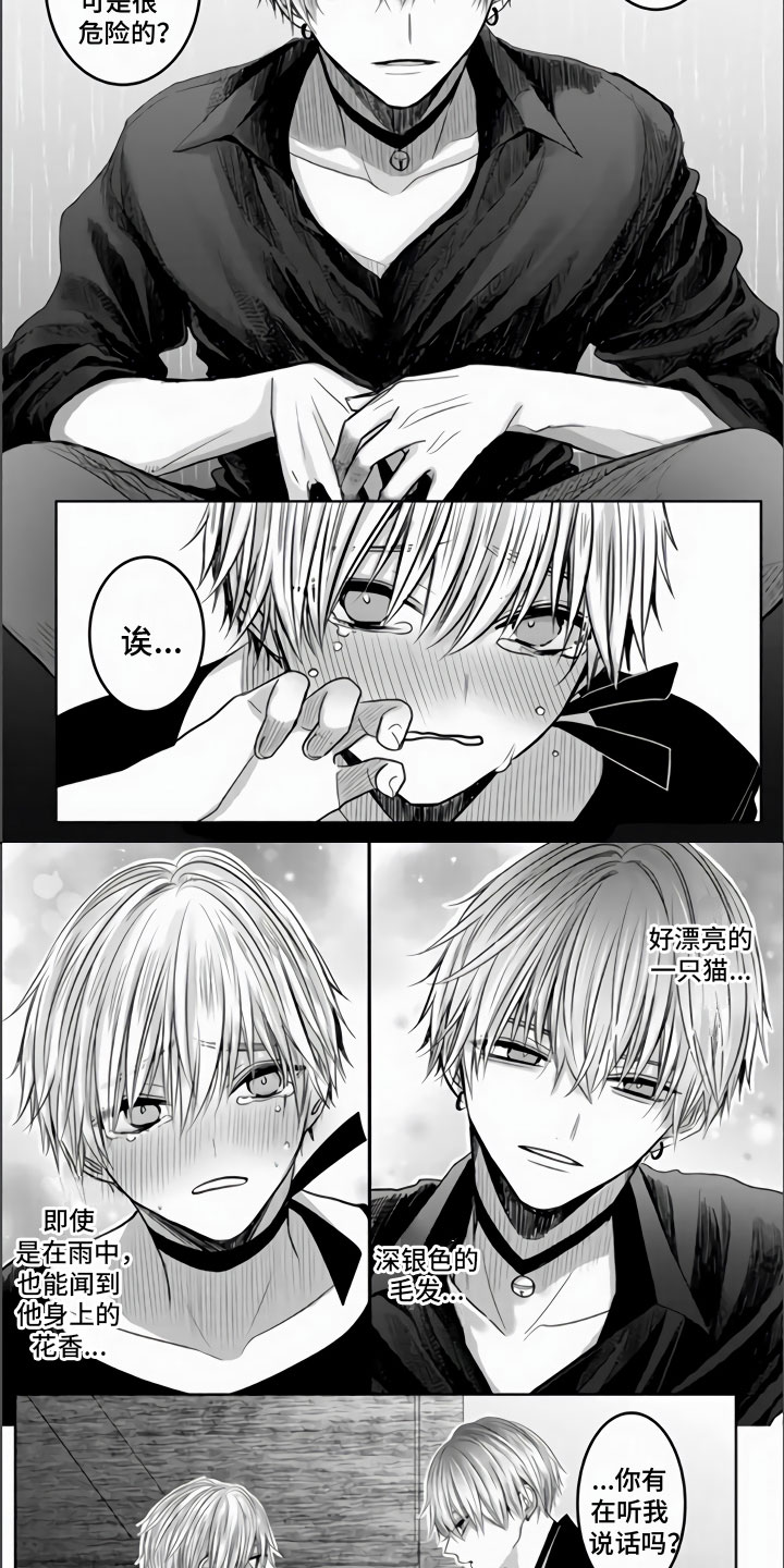 不眠之夜漫画,第2章：离家出走2图