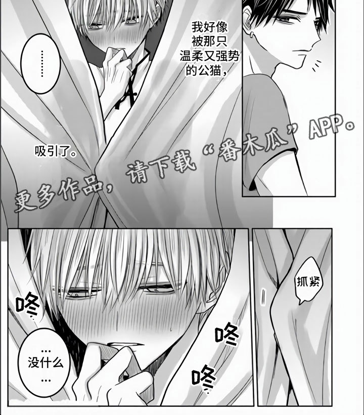 不眠之夜漫画,第9章：把你夺走了1图