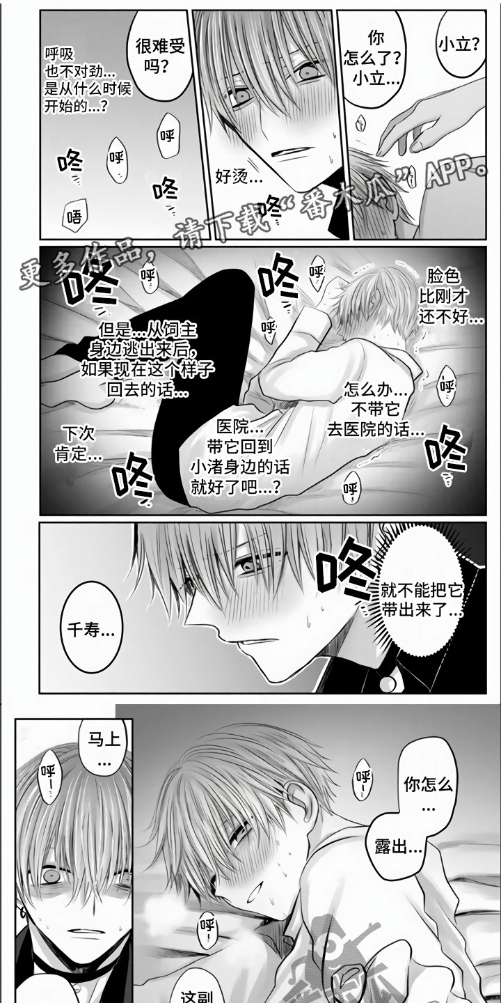 不眠之夜漫画,第31章：都是我的错1图