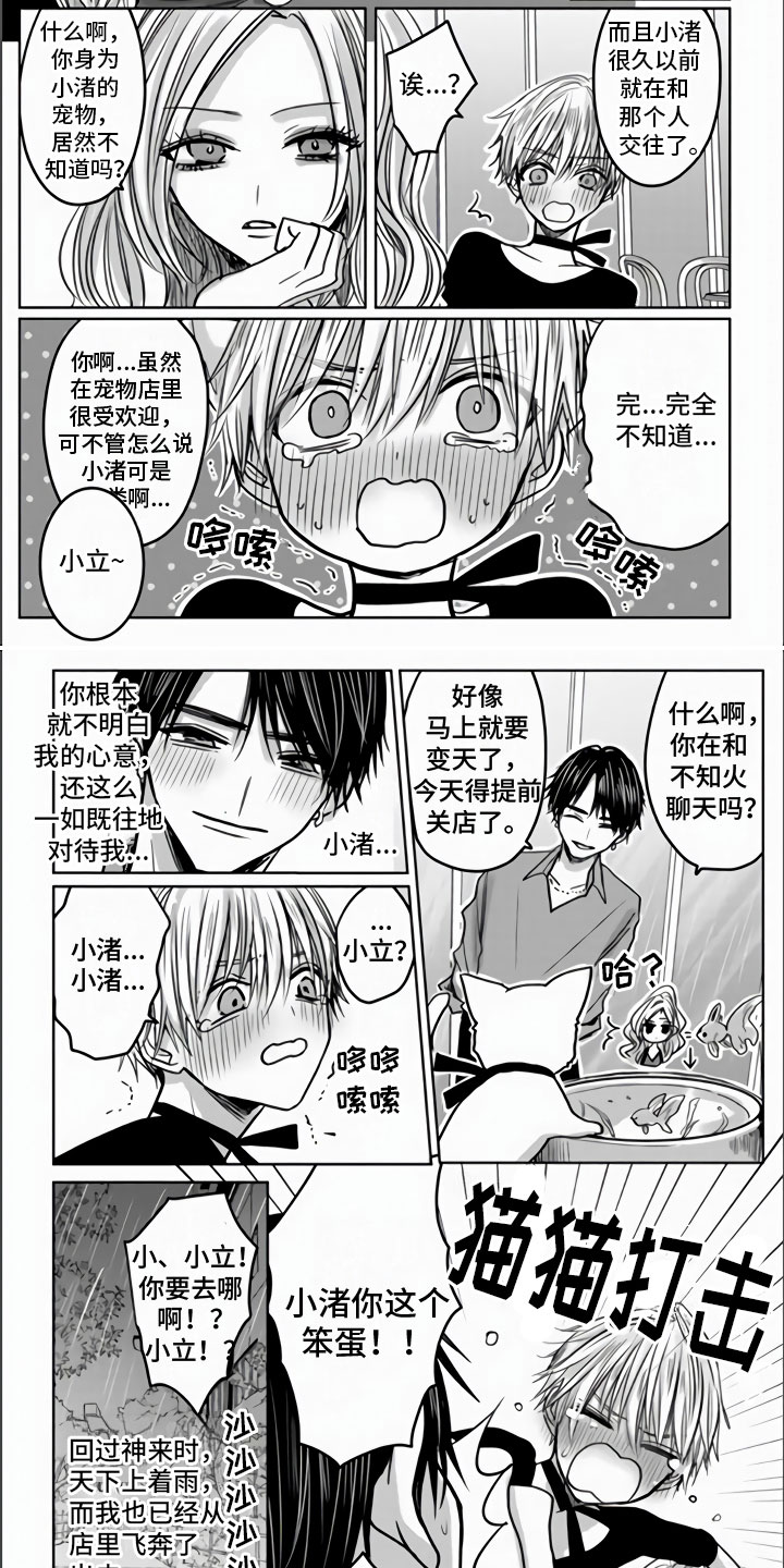 不眠之夜漫画,第2章：离家出走2图