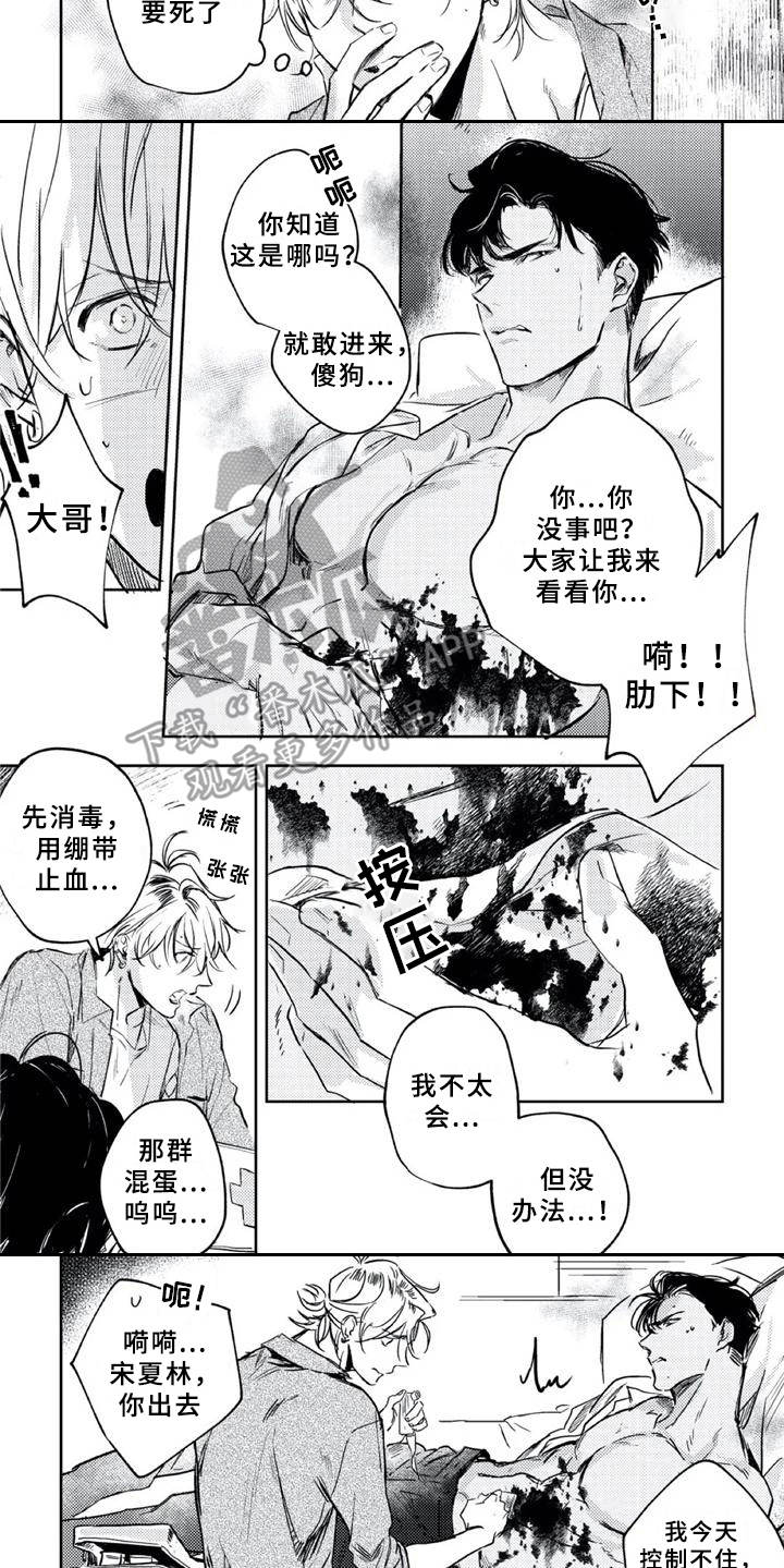 朋克风图片漫画,第6章：疗伤2图