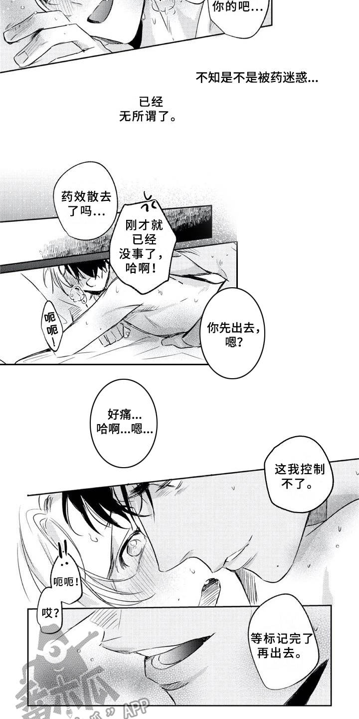 朋克宝贝是什么意思?漫画,第21章：标记1图