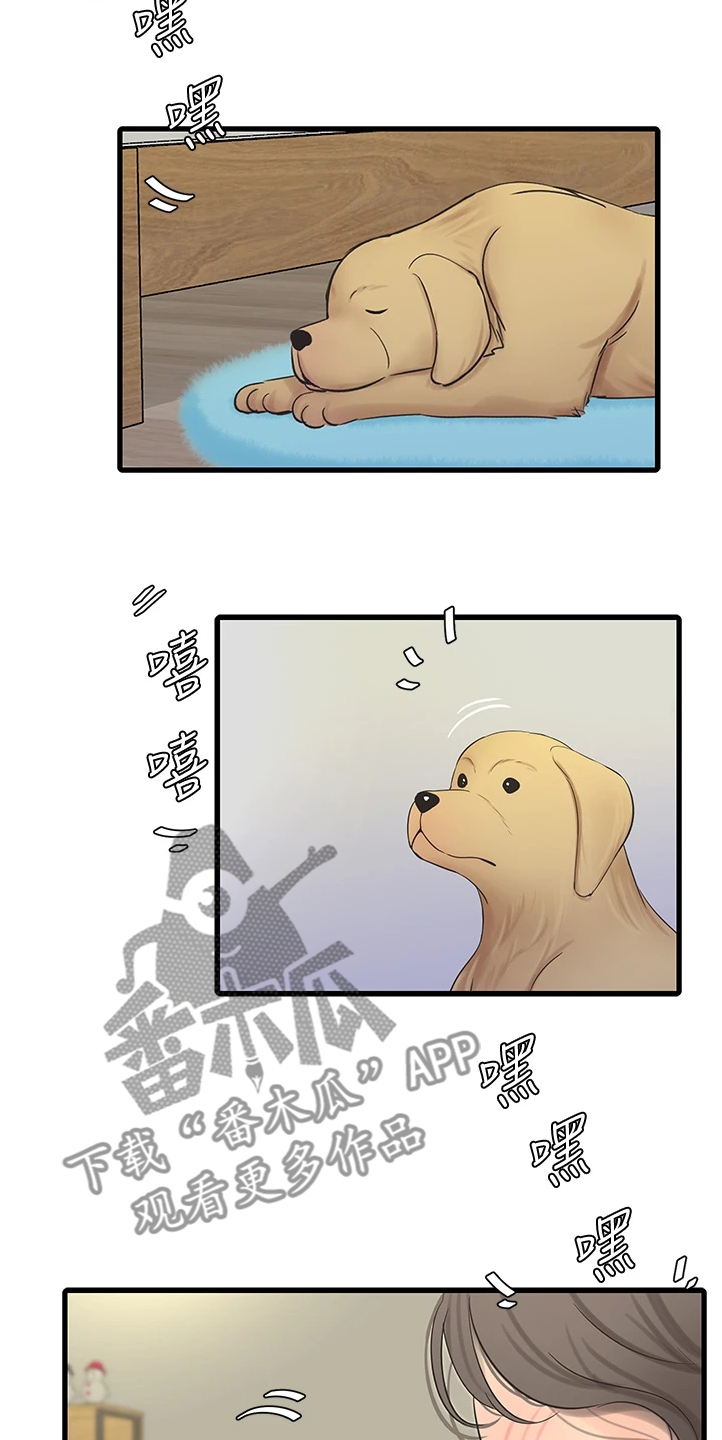 特别照顾和特殊照顾区别漫画,第128章：那你怎么办1图