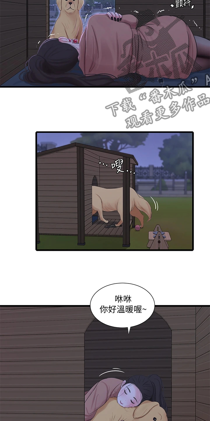 特别照顾和特殊照顾区别漫画,第134章：可怜的狗子2图