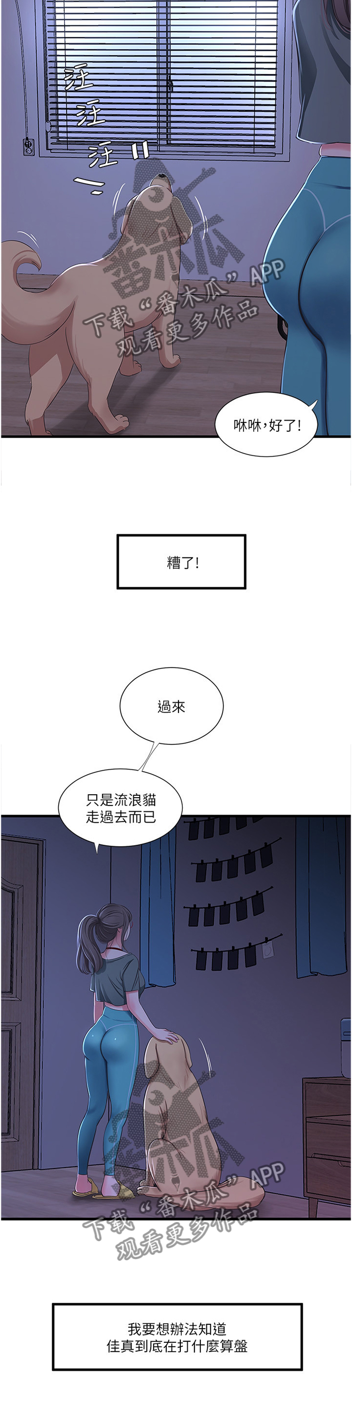 特别照顾的英文漫画,第66章：每个人的秘密2图