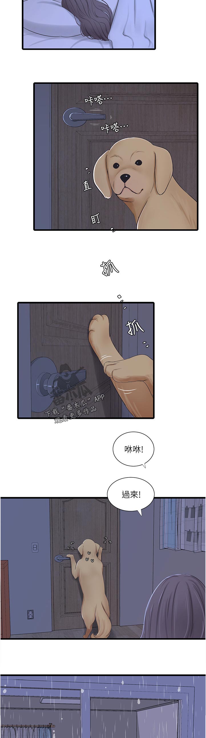 特别招蚊子咬是什么体质漫画,第109章：不好玩1图