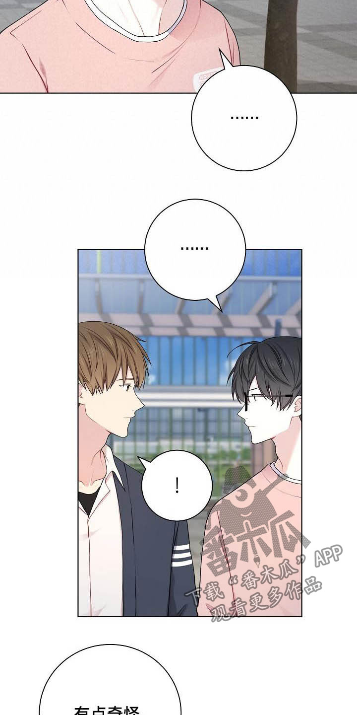 网络恋爱法律要点漫画,第22章：上钩了2图