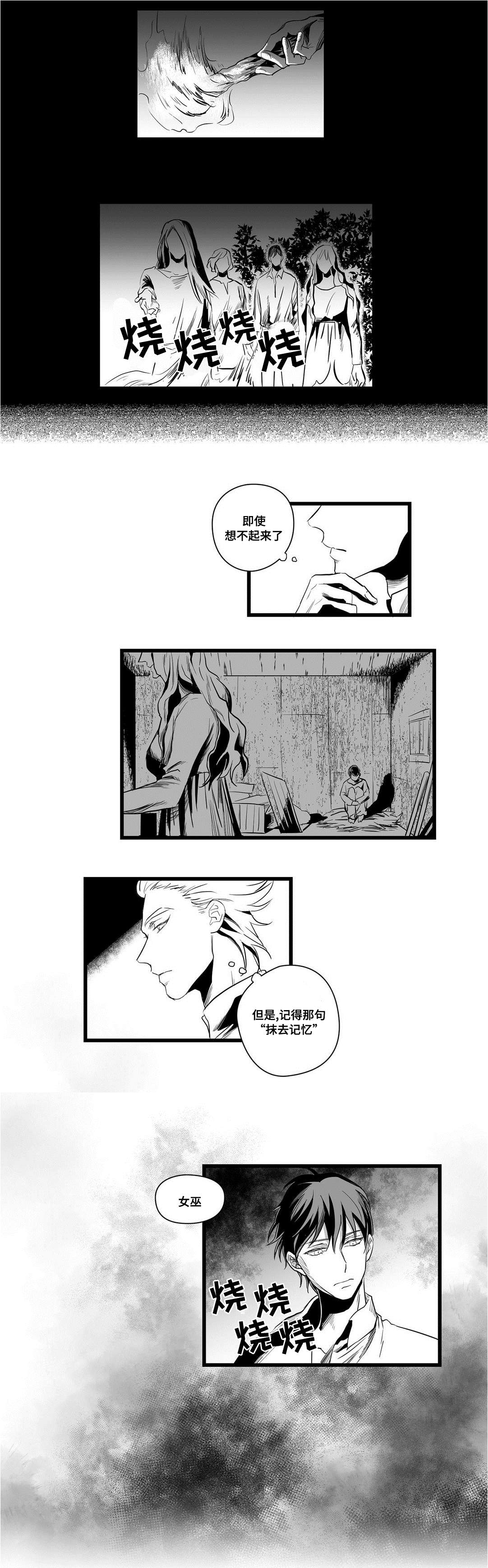 王子与巫师推文漫画,第4章：记忆2图