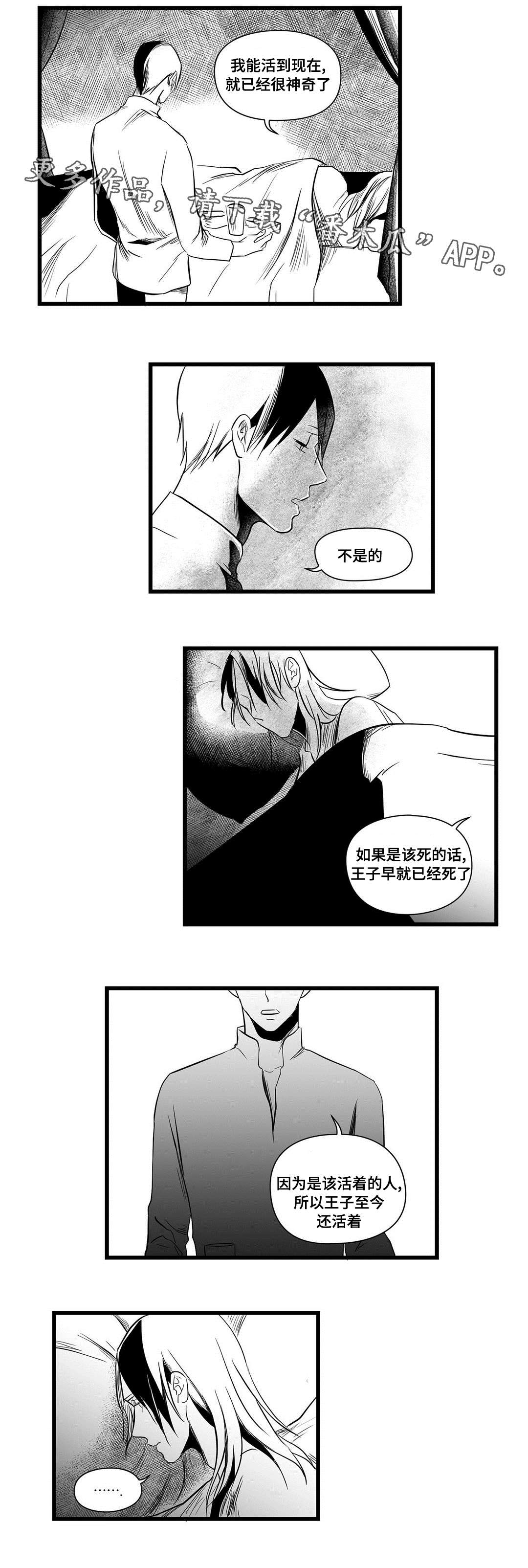 巫师与法师谁厉害漫画,第13章：四王子2图
