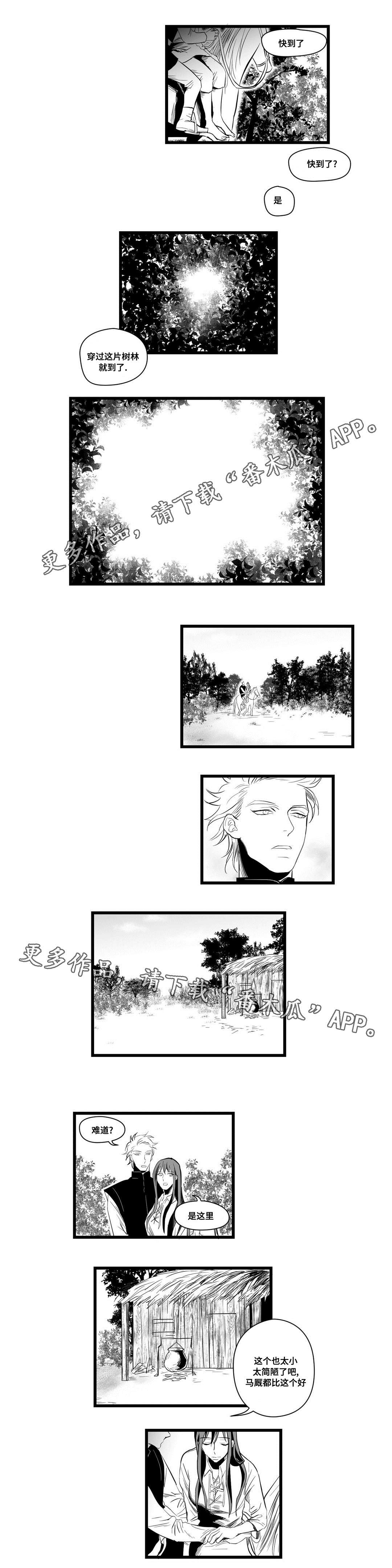 巫师与王子漫画,第6章：危险2图