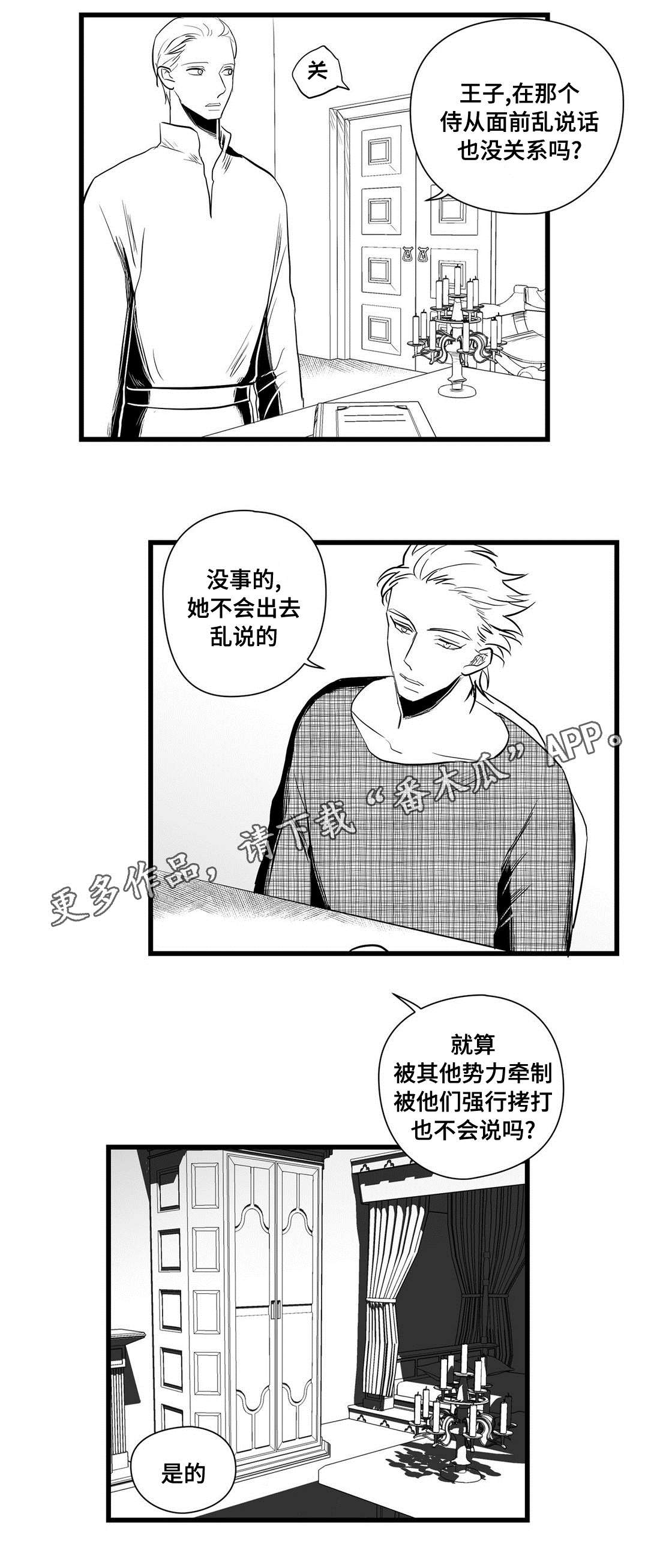 王子与巫师推文漫画,第30章：监狱1图