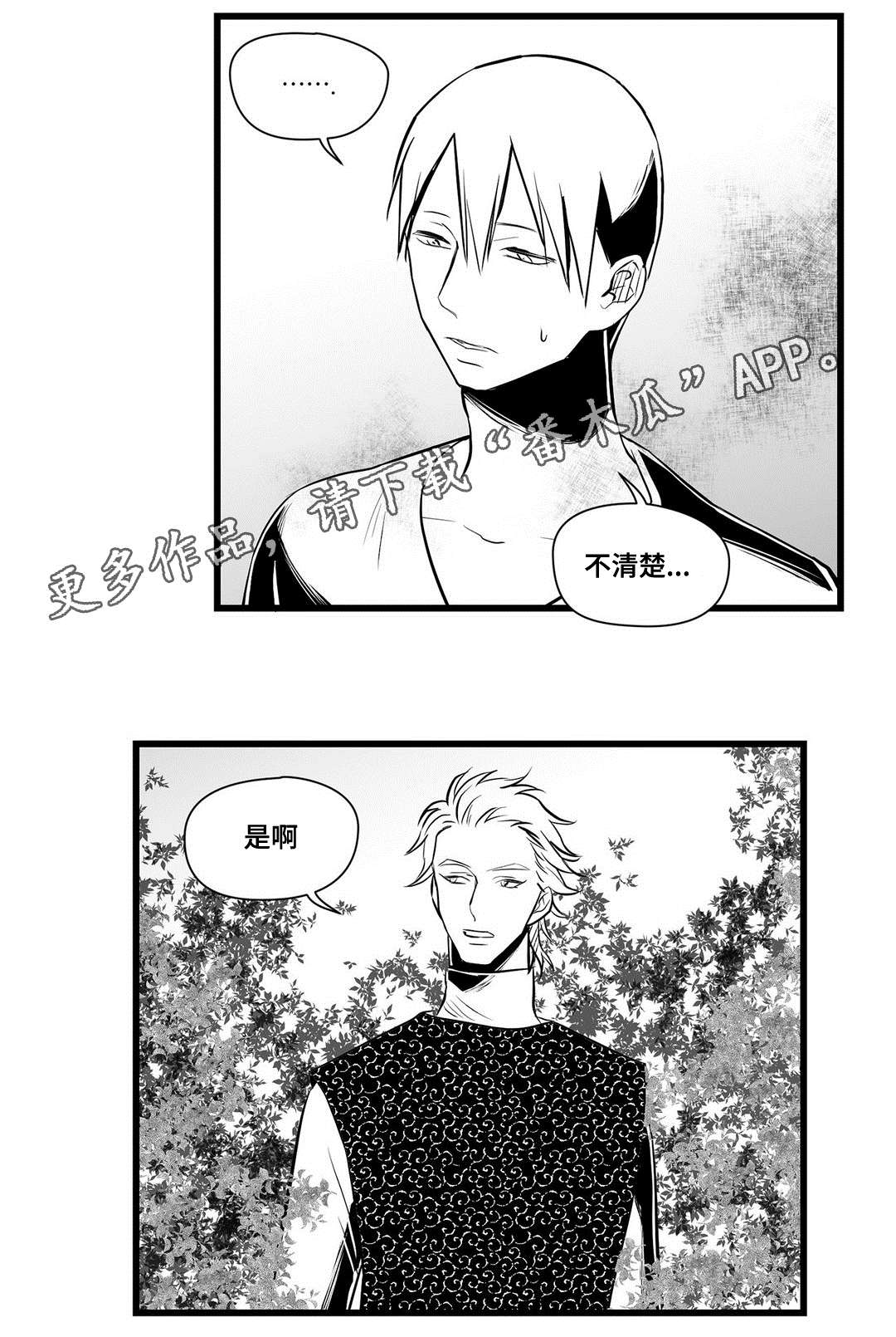 巫师与法师谁厉害漫画,第32章：猜想1图