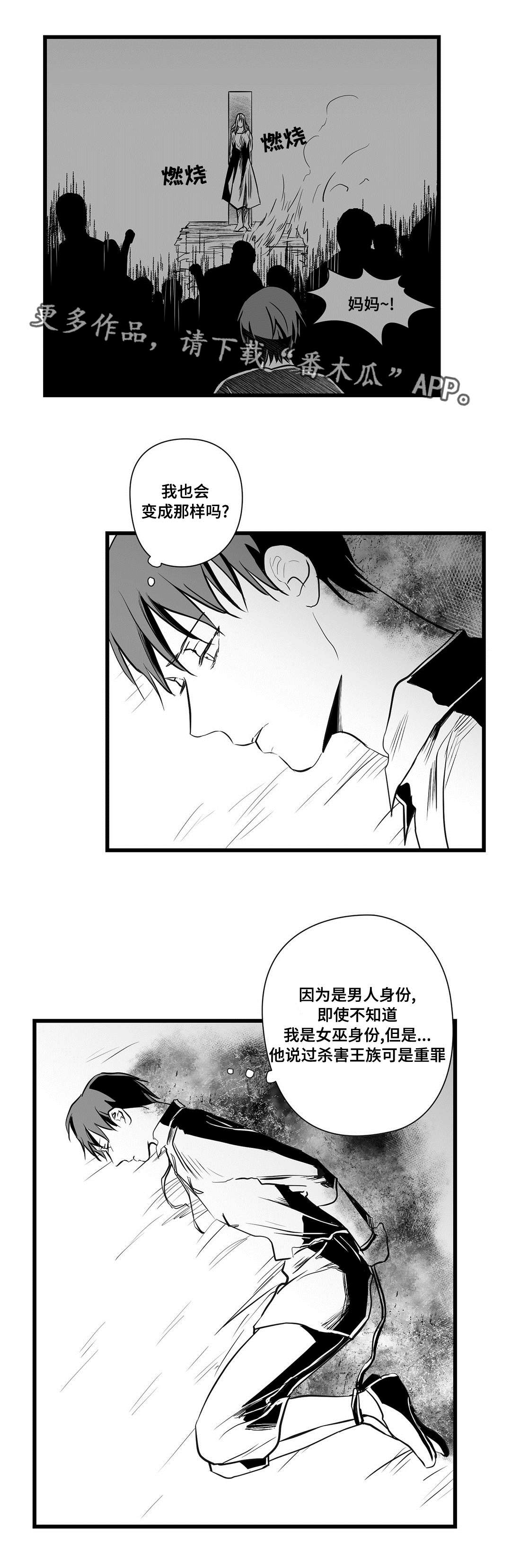 巫师与法师谁厉害漫画,第29章：抛弃2图