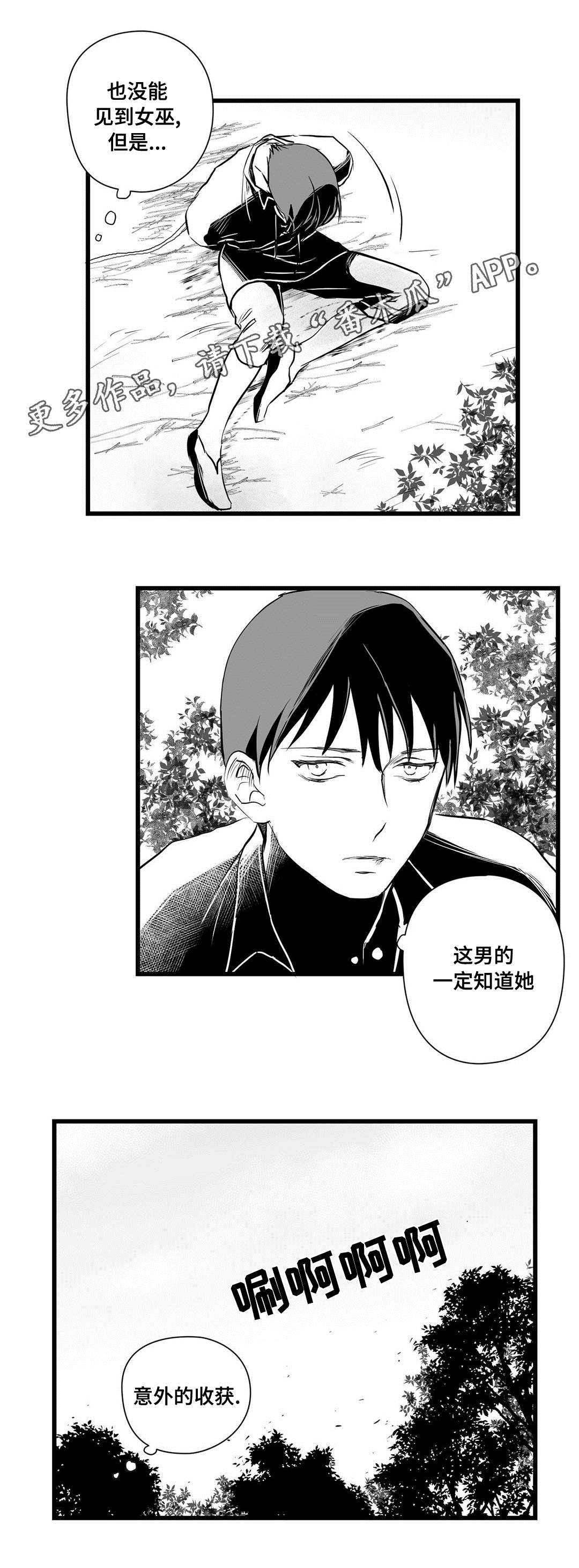 王子与巫师推文漫画,第28章：收获2图