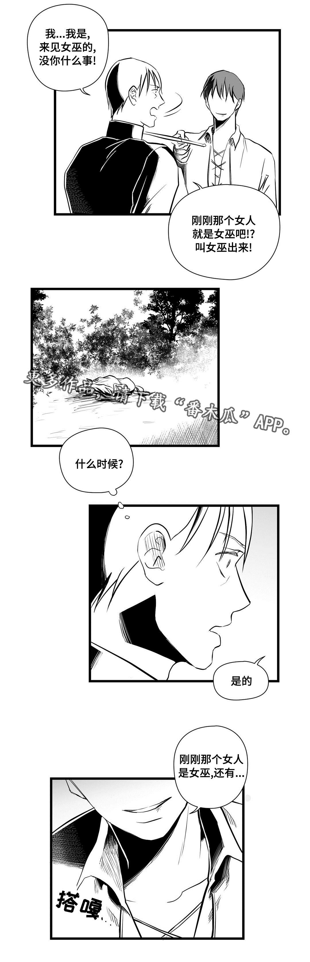 巫师与法师谁厉害漫画,第24章：诡异1图