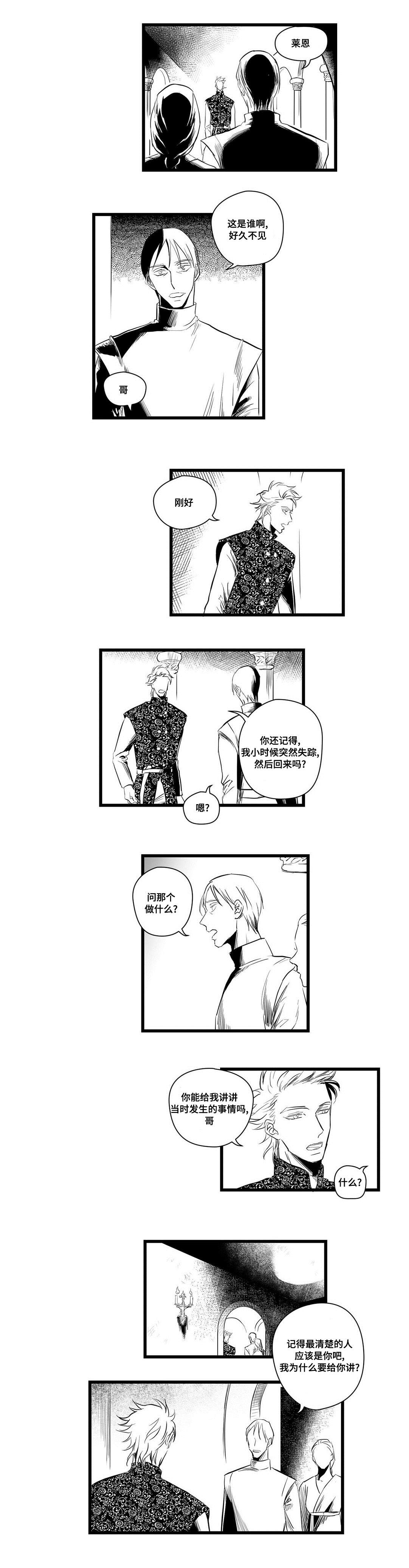 王子与巫师推文漫画,第4章：记忆2图