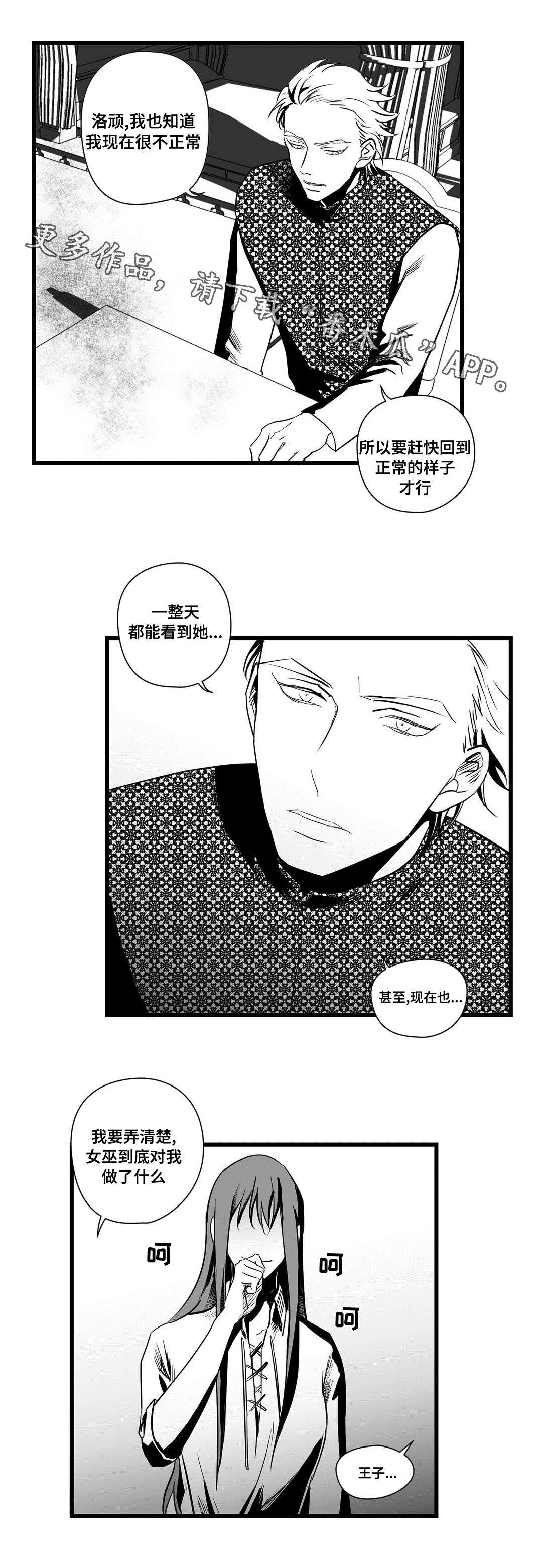 王子与巫师推文漫画,第22章：确认2图