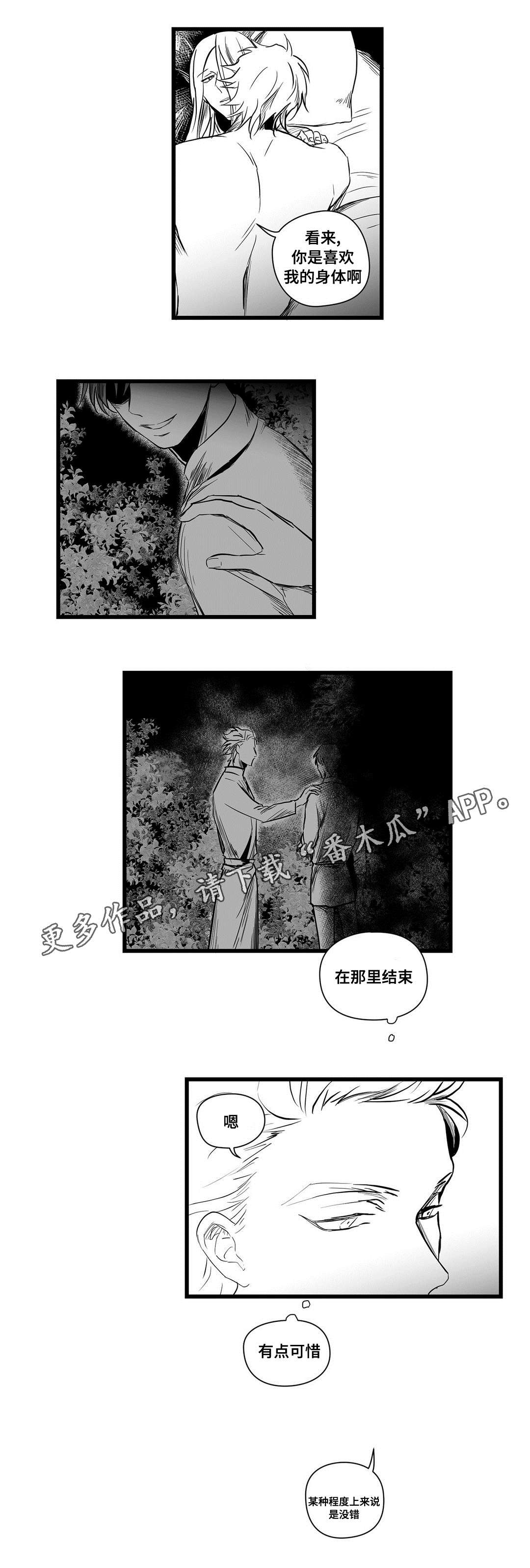 巫师与法师谁厉害漫画,第13章：四王子1图