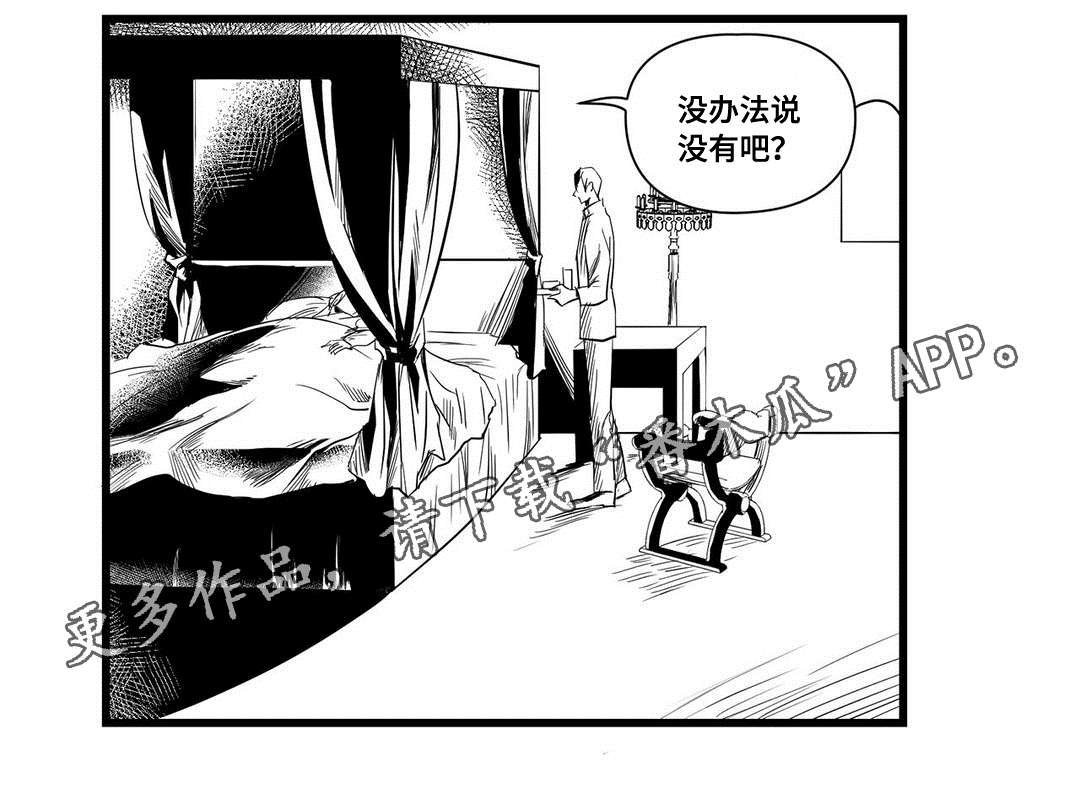 巫师与法师谁厉害漫画,第13章：四王子2图