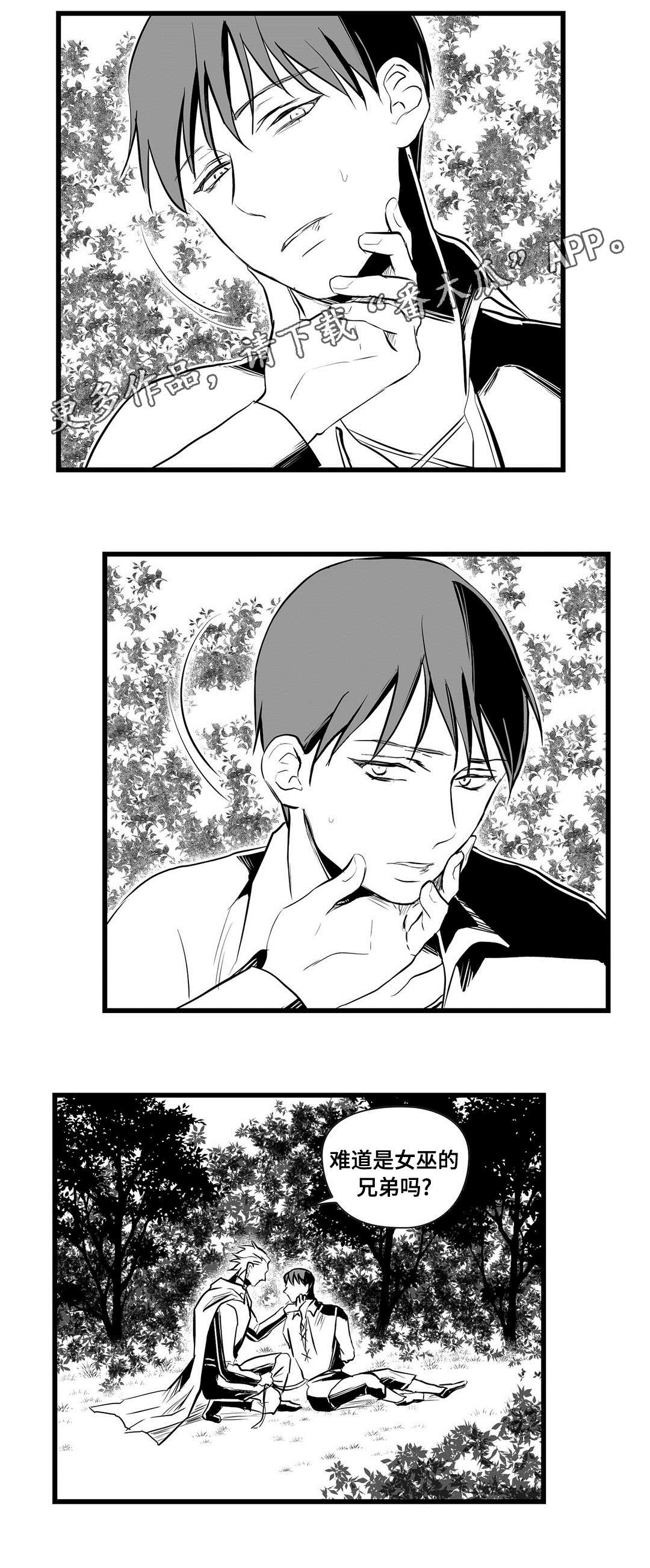 王子与巫师推文漫画,第28章：收获2图