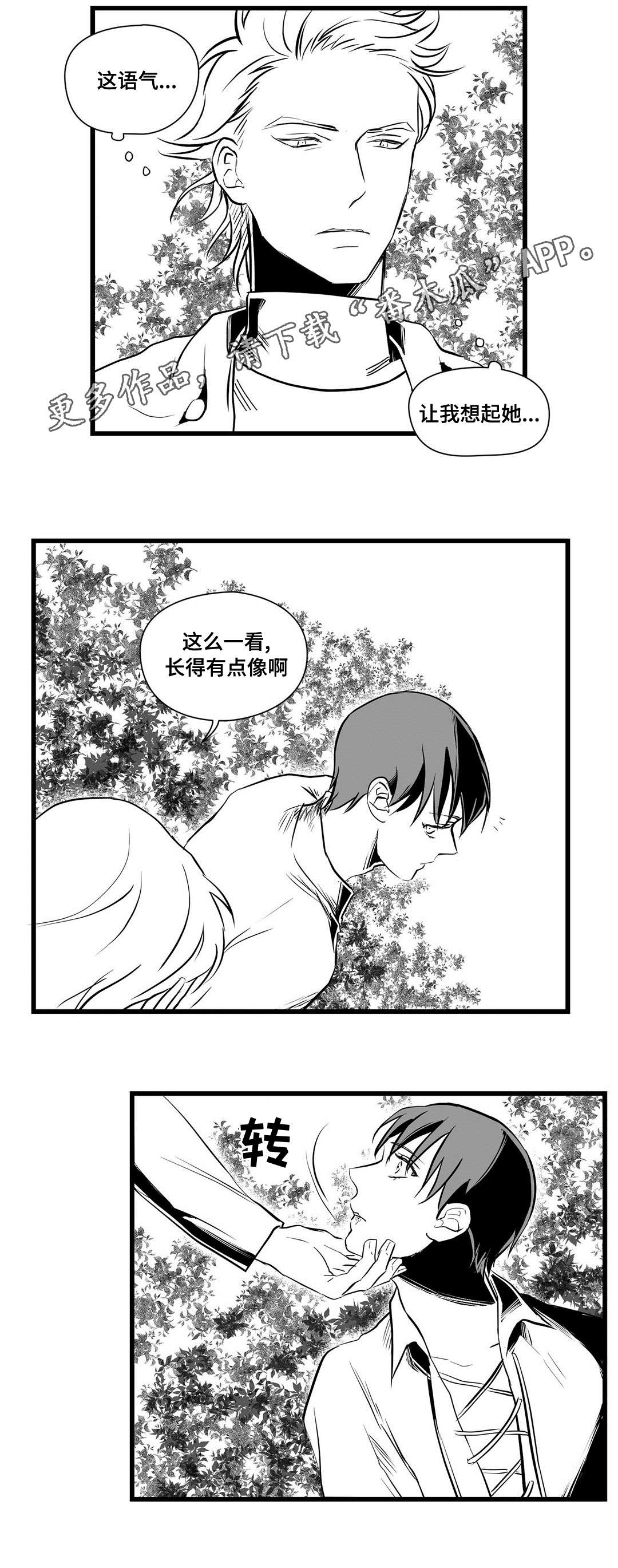 王子与巫师推文漫画,第28章：收获1图