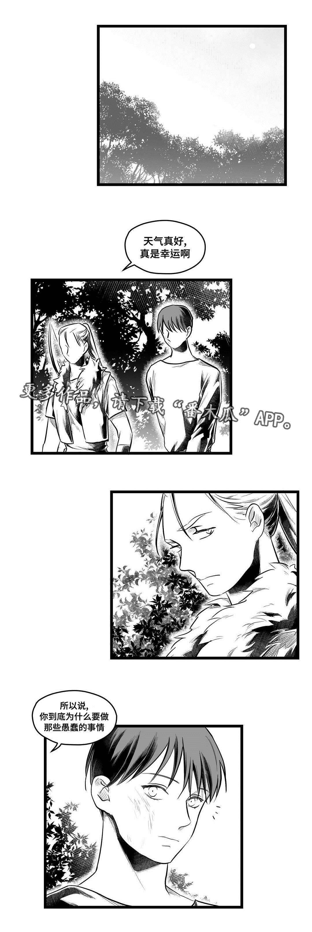 巫师与法师谁厉害漫画,第63章：爱情2图