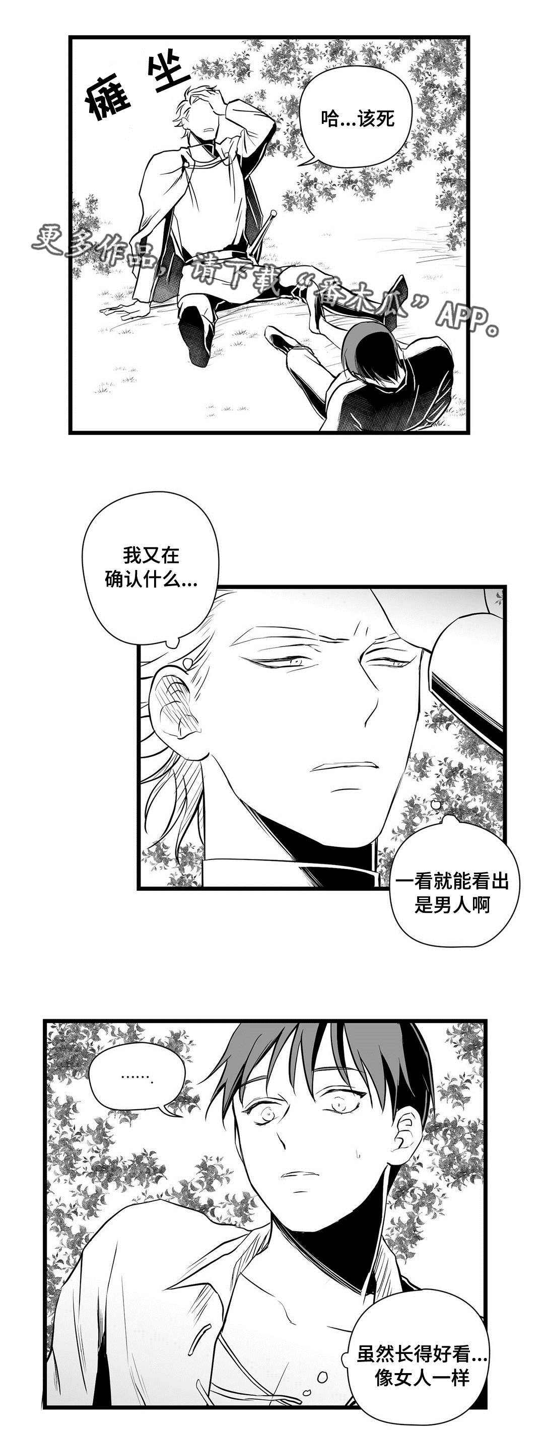 王子与巫师推文漫画,第28章：收获2图
