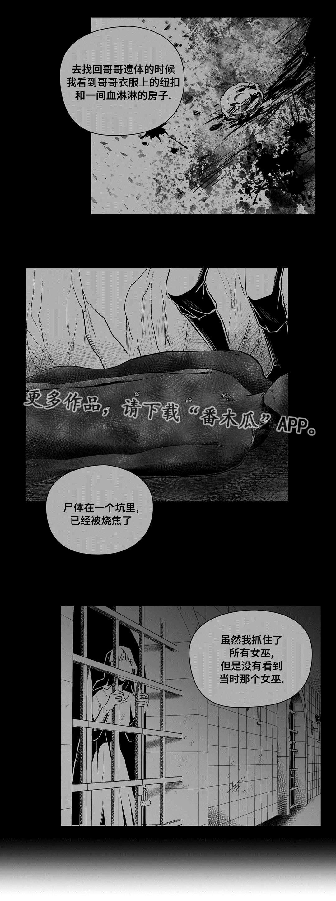 巫师与法师谁厉害漫画,第48章：麻烦2图
