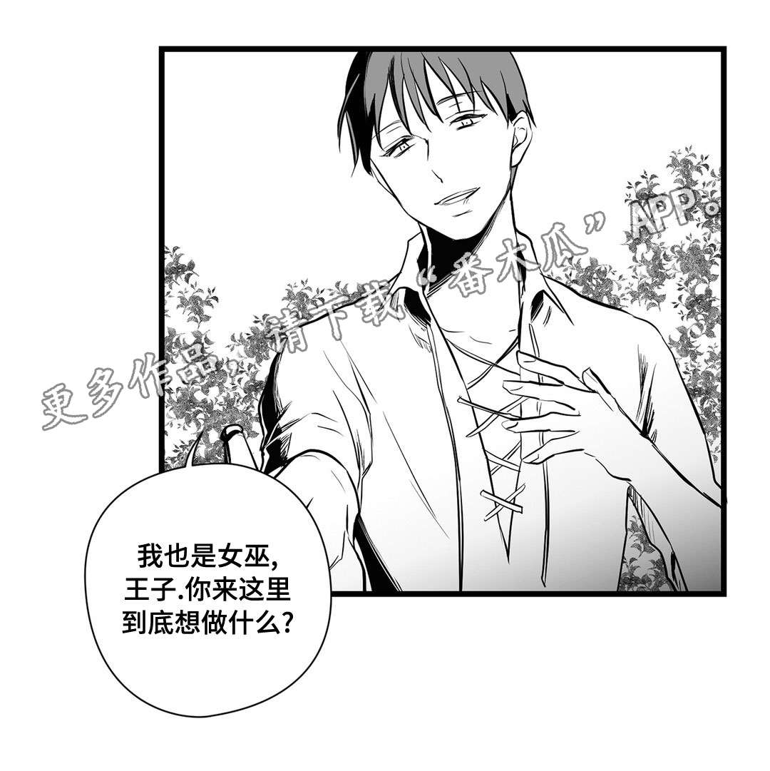 巫师与法师谁厉害漫画,第24章：诡异2图