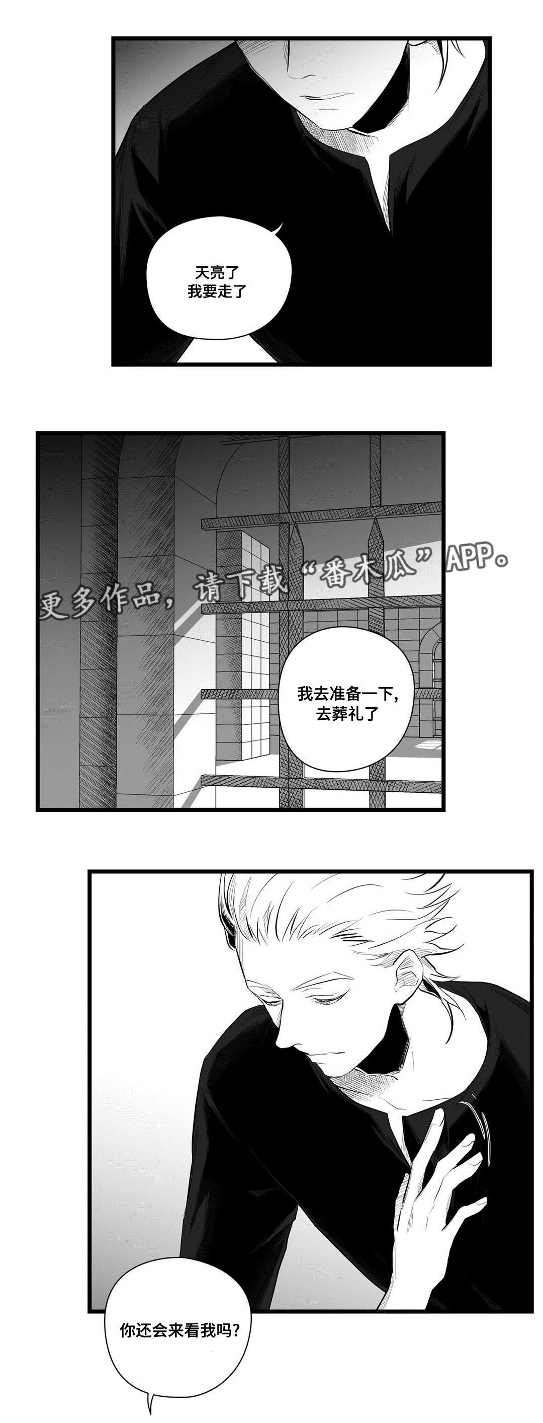 巫师与法师谁厉害漫画,第41章：何去何从2图