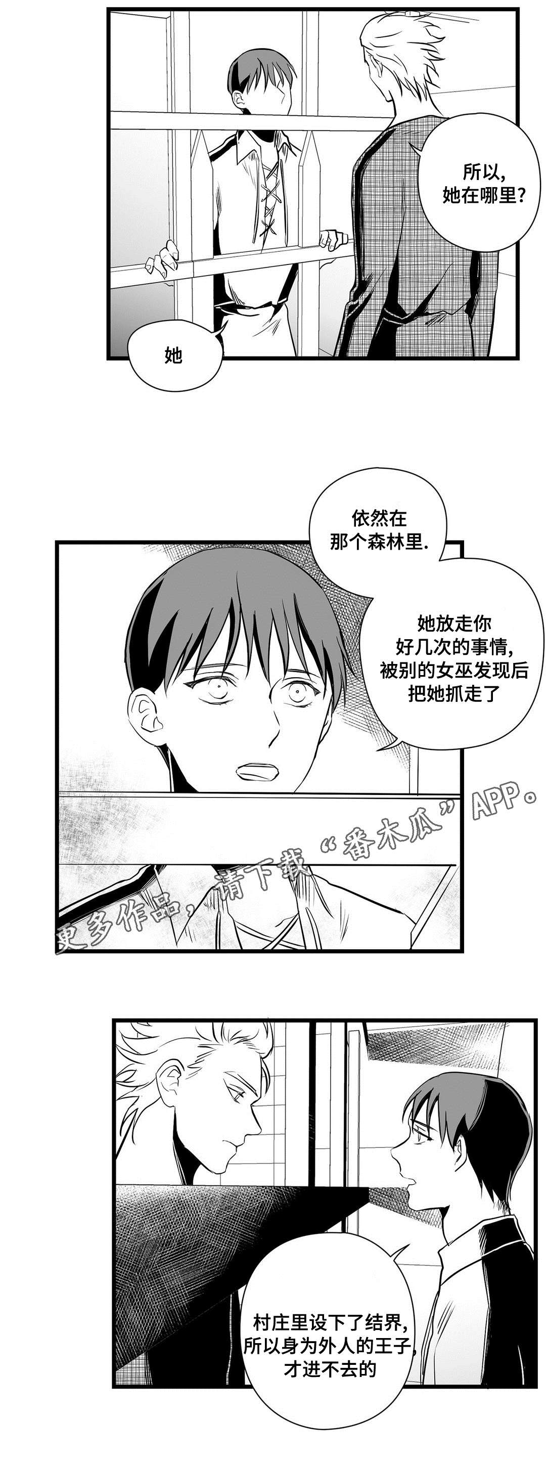 巫师与法师谁厉害漫画,第31章：那个女人2图
