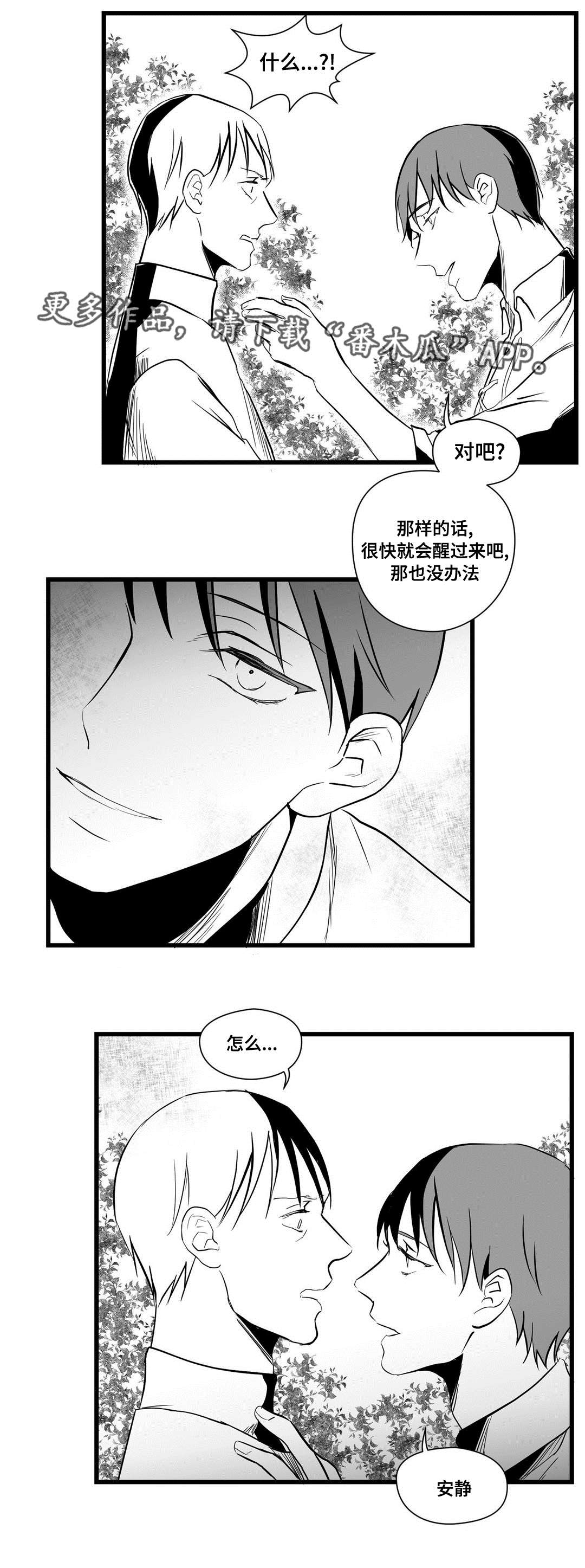 巫师与法师谁厉害漫画,第27章：犯人2图