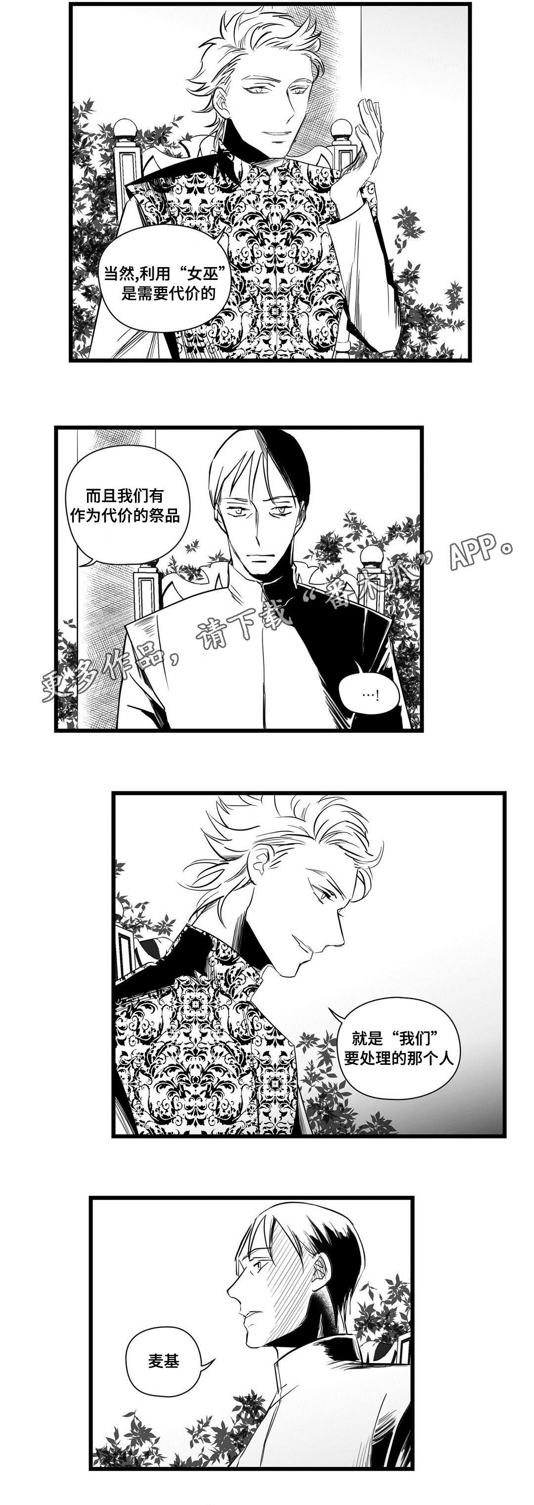 王子与巫师推文漫画,第20章：祭品2图