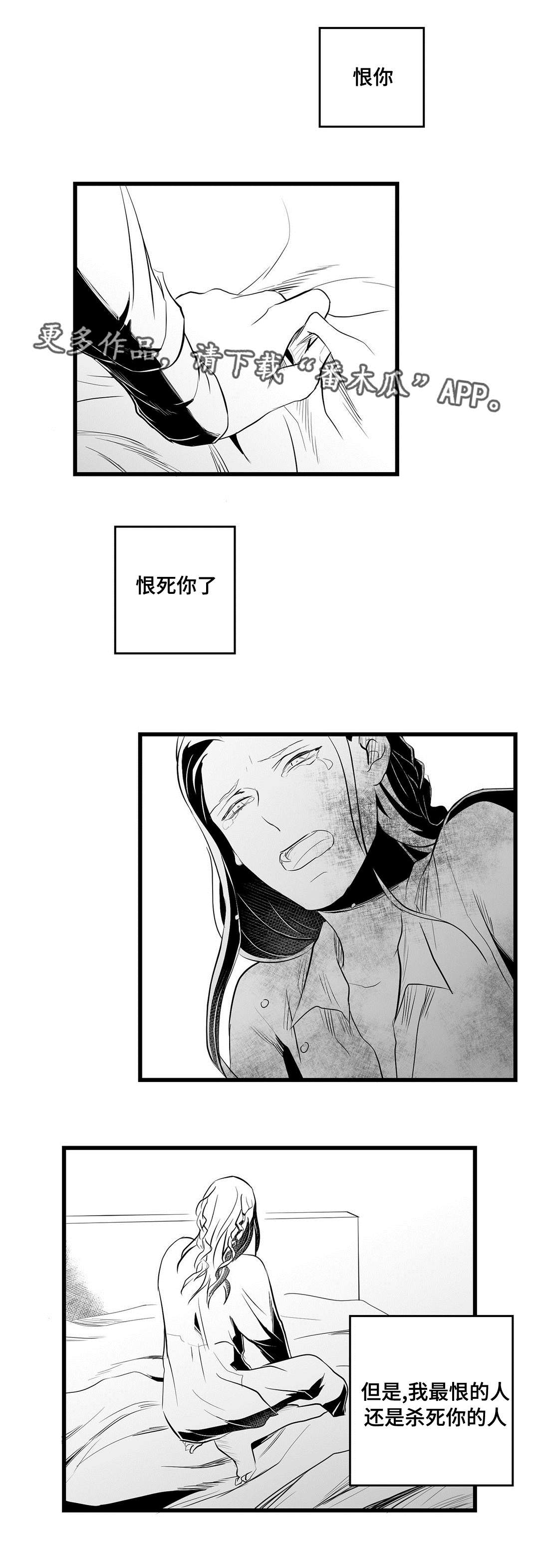 巫师与法师谁厉害漫画,第34章：下毒2图