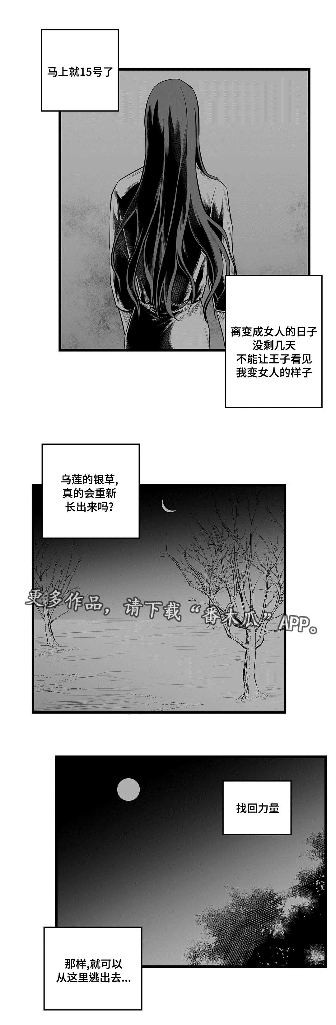 巫师与法师谁厉害漫画,第41章：何去何从2图