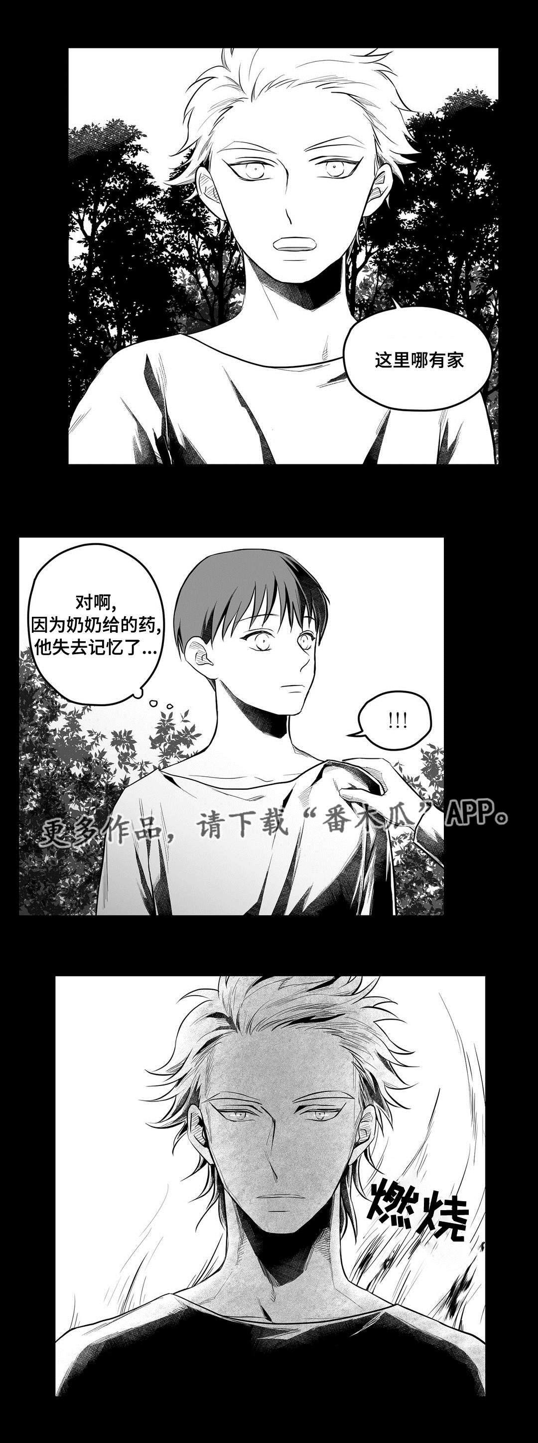 巫师与法师谁厉害漫画,第53章：无法理解1图