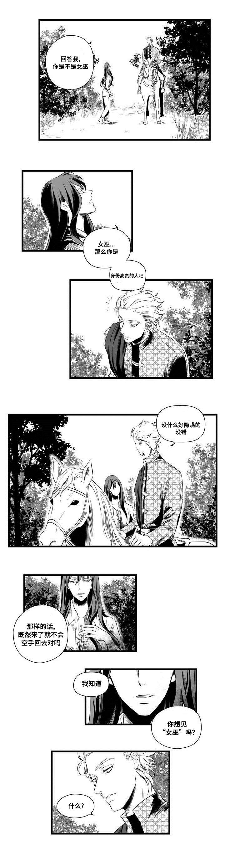 巫师与王子漫画,第2章：失踪的士兵2图