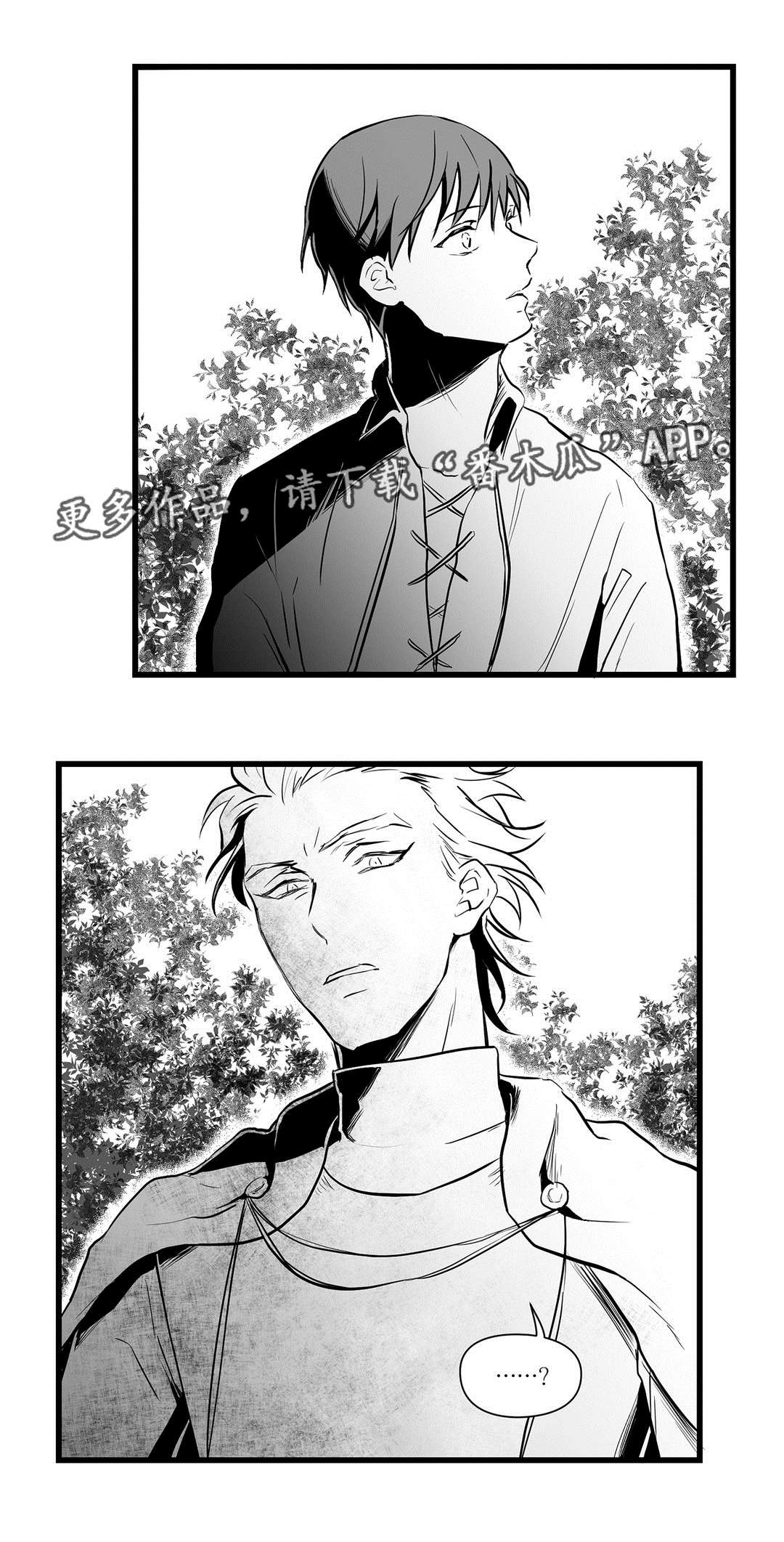 王子与巫师推文漫画,第25章：毒药2图