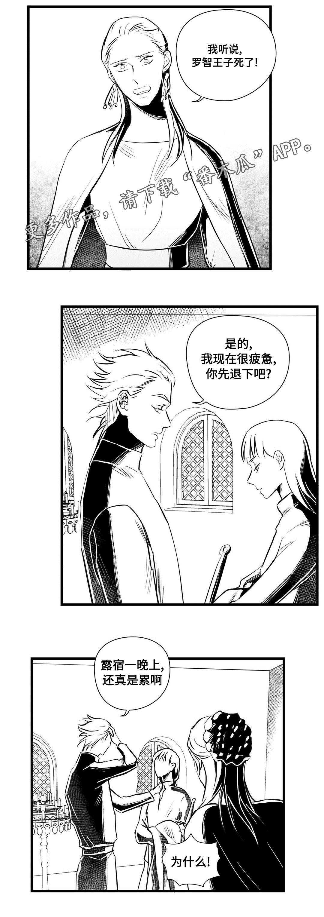王子与巫师推文漫画,第30章：监狱2图
