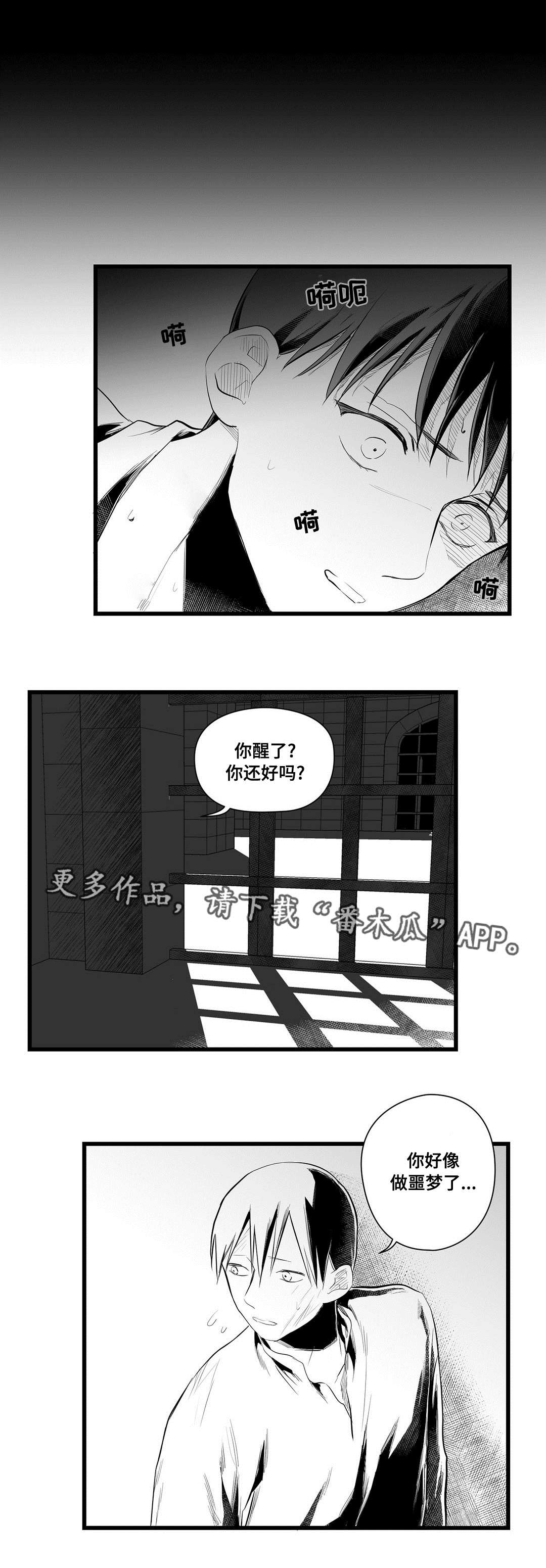 巫师与法师谁厉害漫画,第42章：葬礼1图