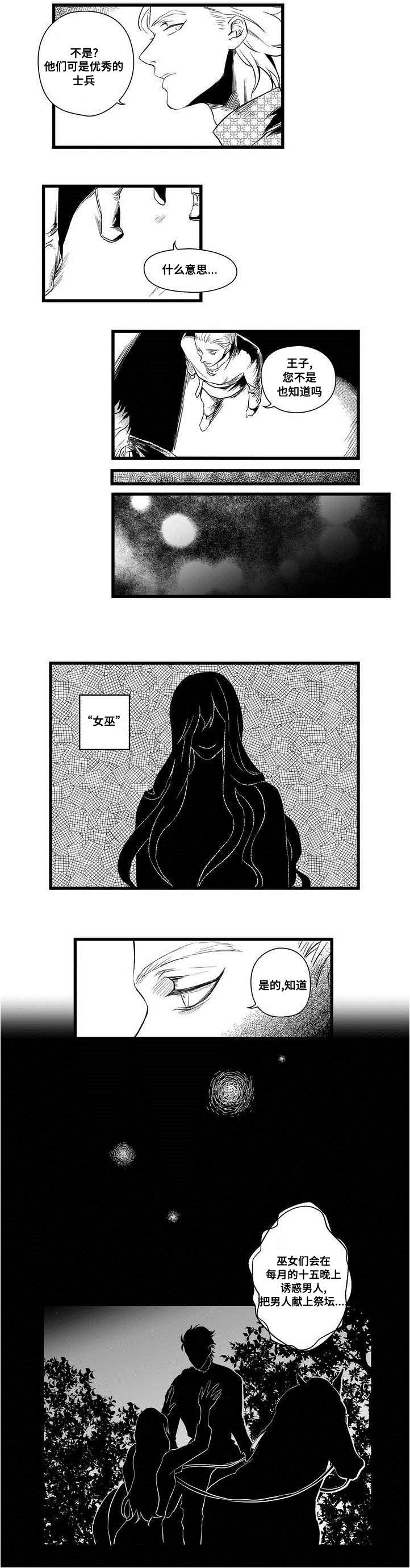 巫师与法师谁厉害漫画,第2章：失踪的士兵2图