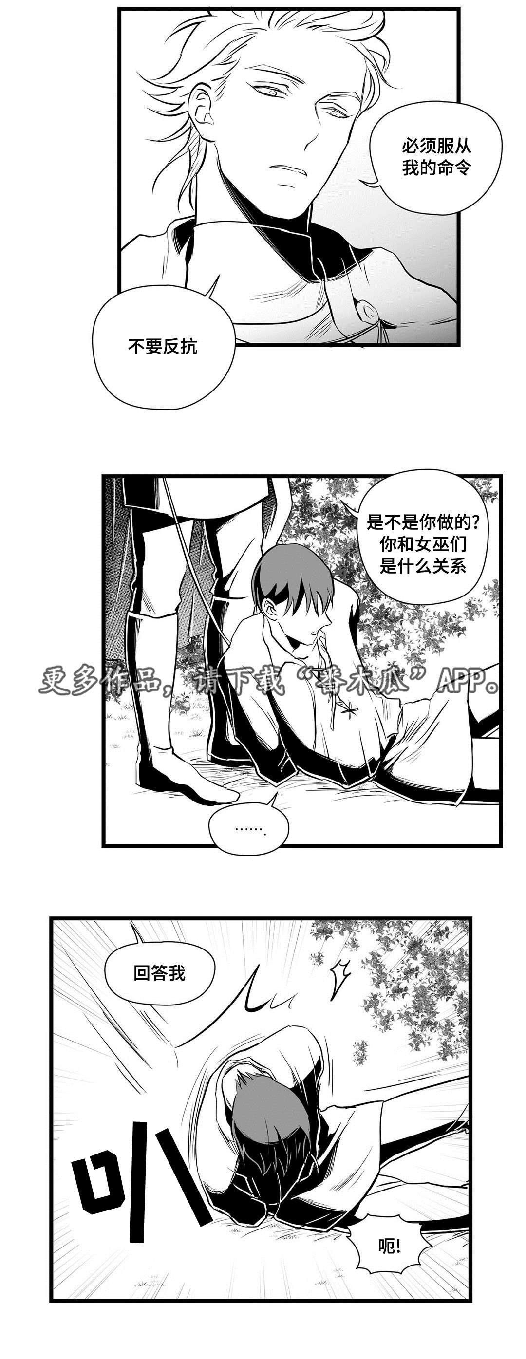 王子与巫师推文漫画,第28章：收获1图