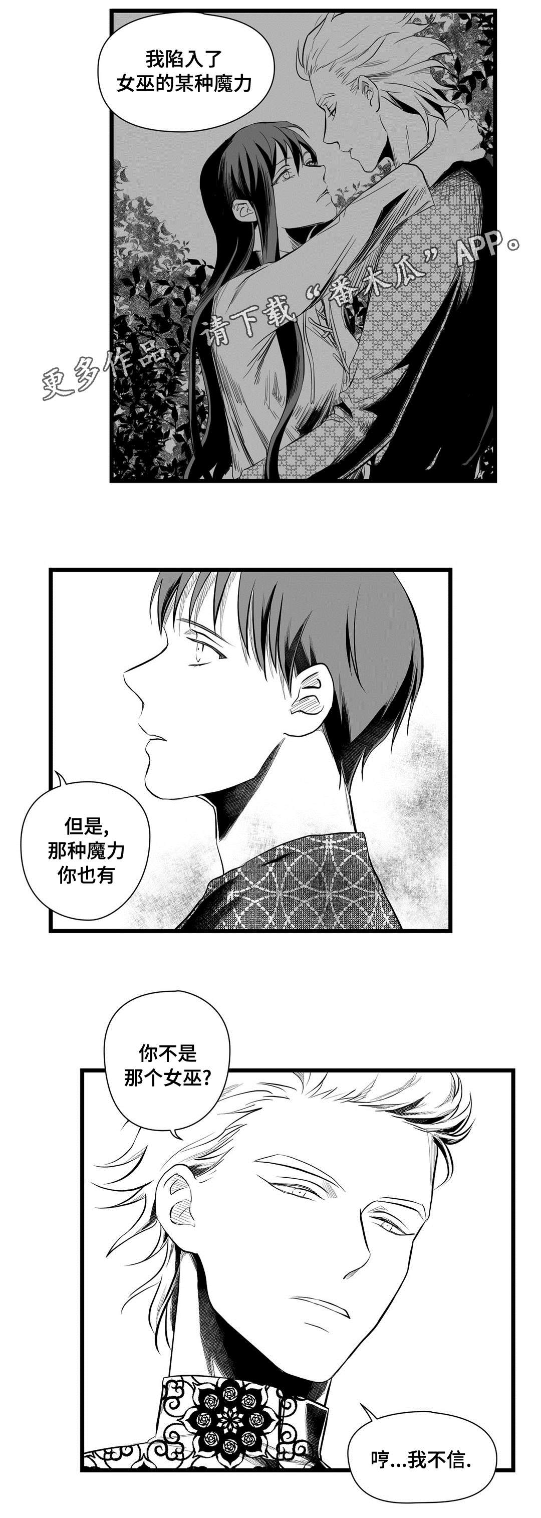 王子与巫师推文漫画,第51章：魔力1图