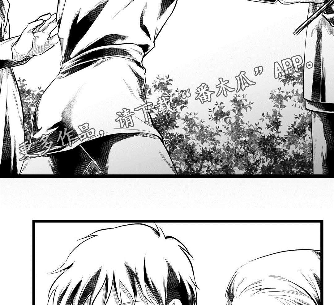 巫师与法师谁厉害漫画,第75章：见面2图