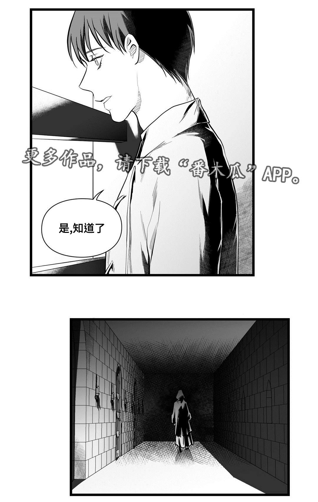 巫师与法师谁厉害漫画,第46章：证言1图