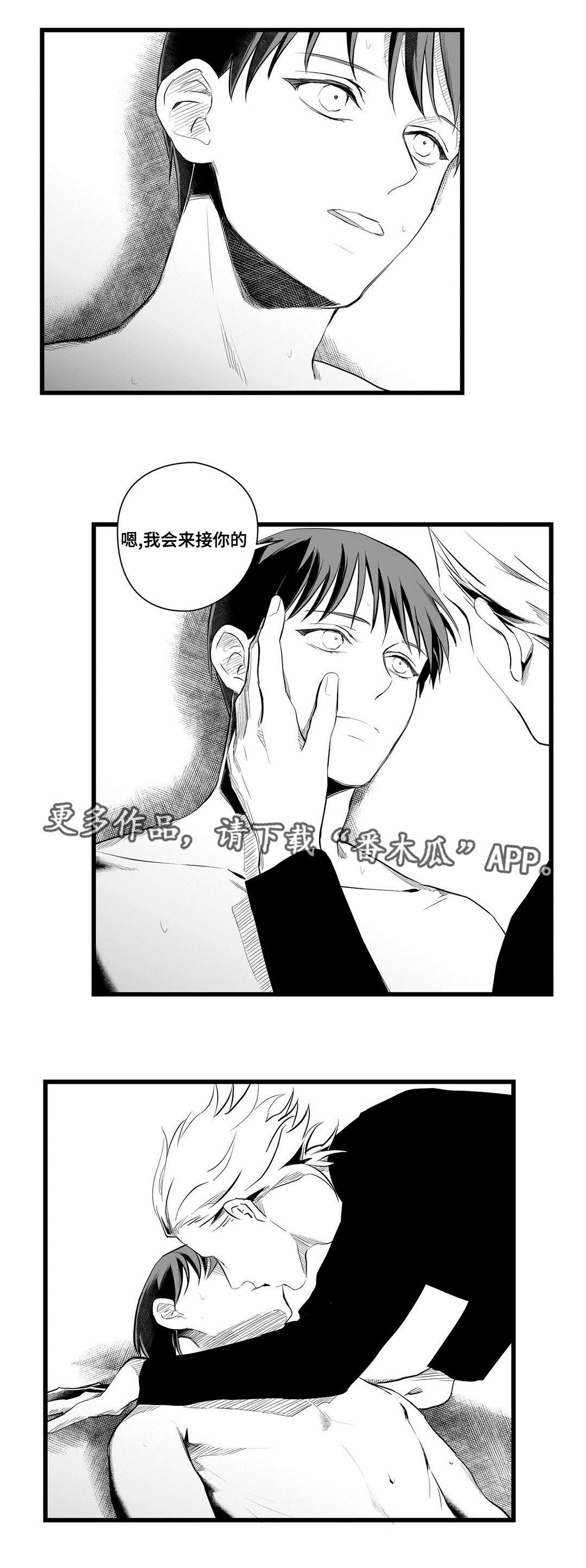 巫师与法师谁厉害漫画,第41章：何去何从1图