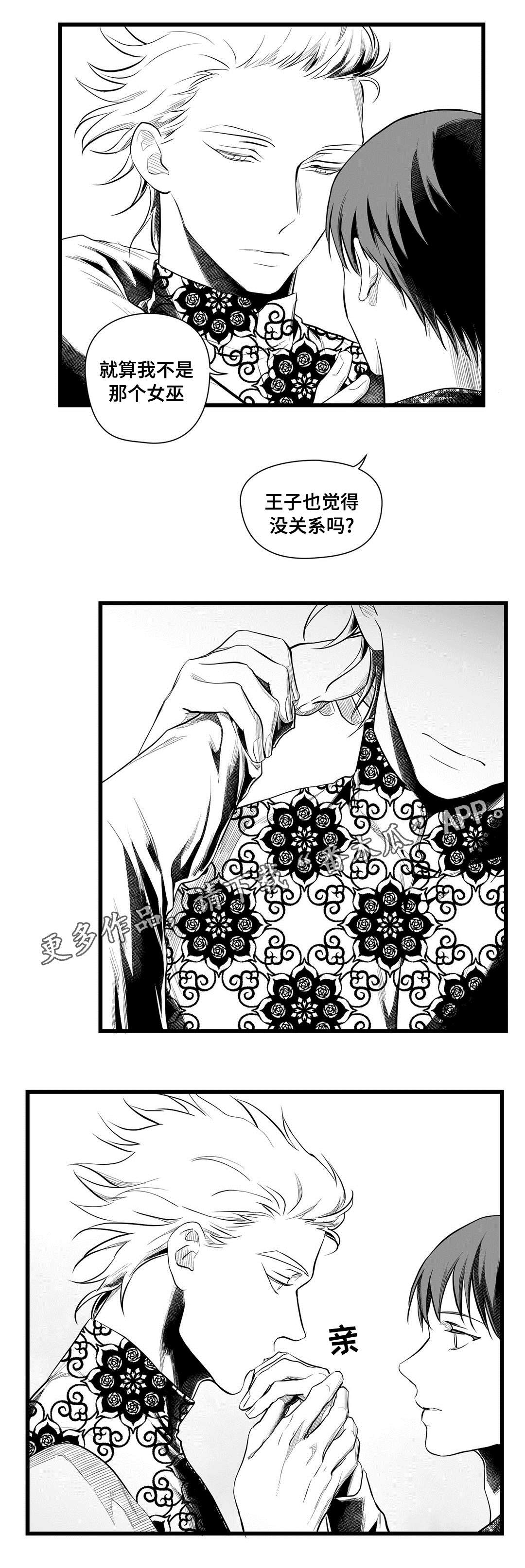 王子与巫师推文漫画,第51章：魔力1图